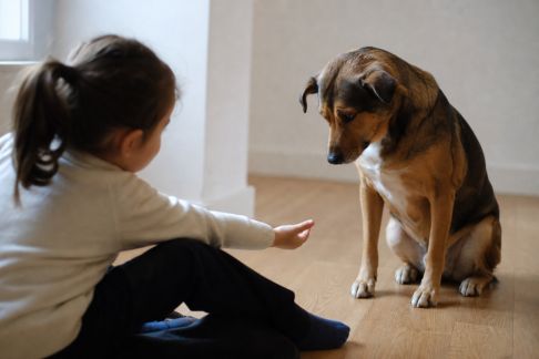 Relation enfant-chien : bonnes pratiques pour instaurer confiance et respect