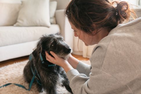 Adopter un animal suite à un abandon : reconstruction et conseils pour réussir