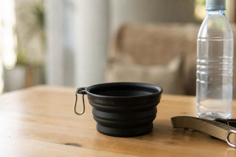 Gamelles pliables pour voyages : sélection et conseils d’utilisation