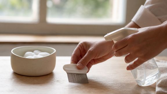 Prévenir et traiter les parasites externes à la maison