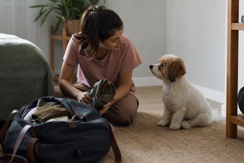 Comment anticiper les vacances après l’adoption d’un animal : organisation et solutions