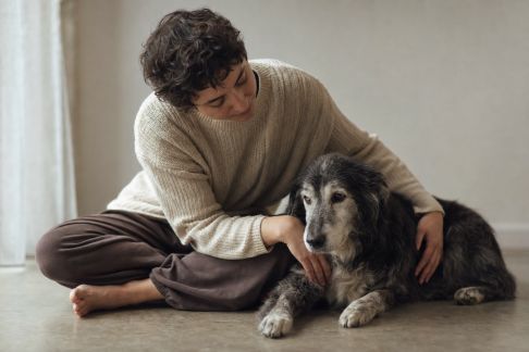 Comment accompagner un animal en fin de vie de façon apaisée