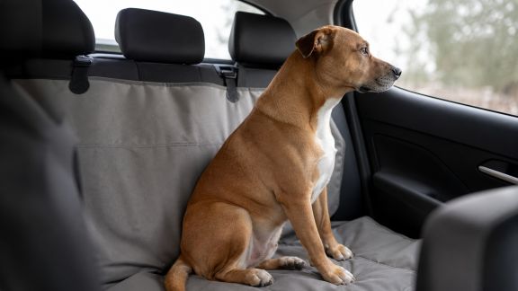 Comparatif des protections de siège de voiture : préserver son habitacle avec un animal à bord