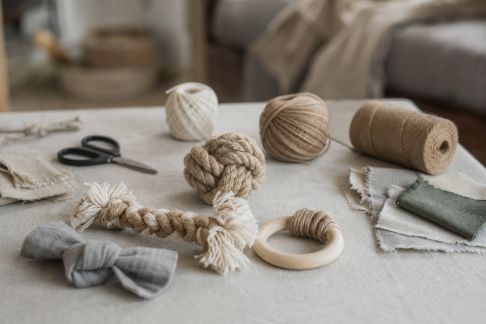 Échanger des astuces de fabrication maison pour accessoires et jouets animaliers