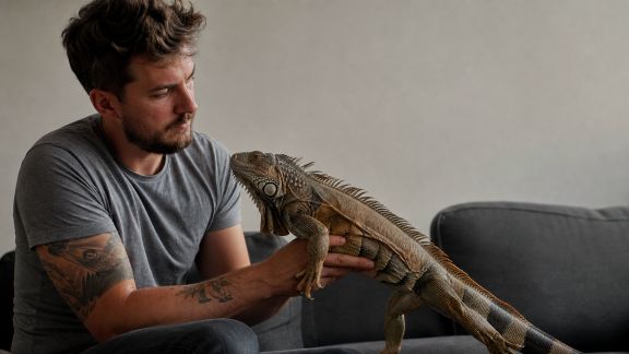 Adoption et animaux exotiques : ce qu’il faut savoir avant de se lancer