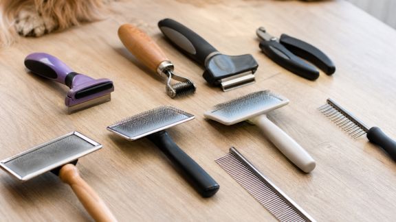 Comparatif de brosses et outils de toilettage pour animaux à poils longs