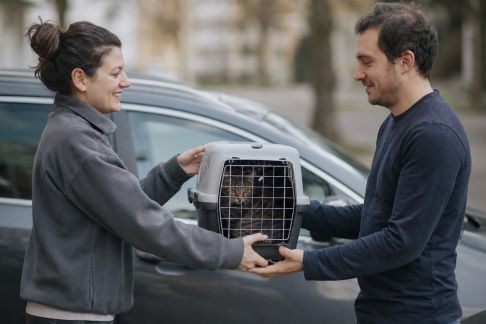 Développer un réseau d’entraide pour le transport des animaux entre particuliers