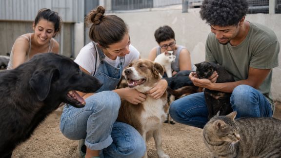 Encourager l’engagement des jeunes dans la vie associative animalière locale