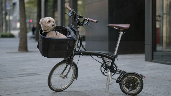 Analyse des paniers de vélo pliables pour animaux en déplacement urbain