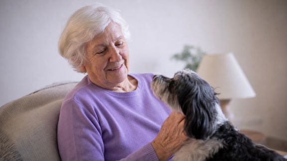L’accompagnement des seniors dans l’adoption d’un animal de compagnie
