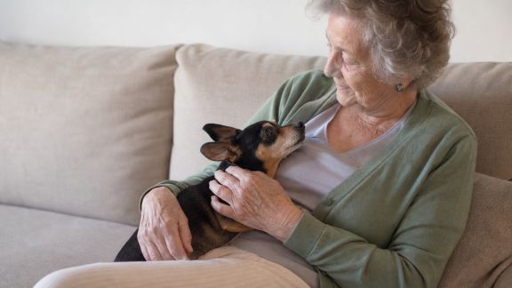 Accompagner un senior dans l’adoption d’un animal : bienfaits et recommandations