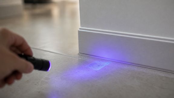 Lampes UV pour détecter les traces d’urine : sont-elles vraiment utiles à la maison ?