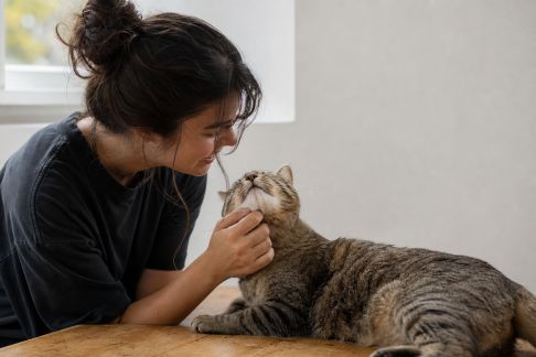 Réaliser une exposition photo communautaire sur la vie avec animaux de compagnie
