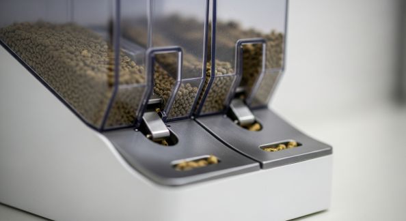 Analyse des distributeurs automatiques de nourriture pour rongeurs
